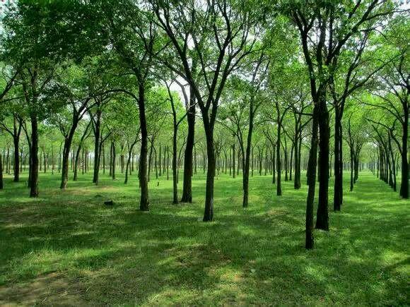 张家口都有什么美好的地方(如果张家口是一个世界)(62)