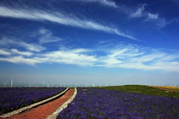 张家口都有什么美好的地方(如果张家口是一个世界)(12)