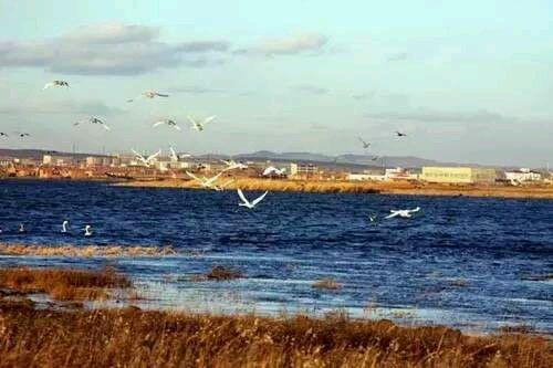 张家口都有什么美好的地方(如果张家口是一个世界)(59)