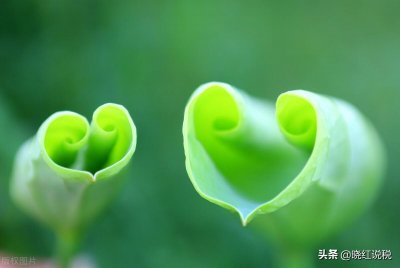 固定资产折旧年限和预计净残值应该如何确定?