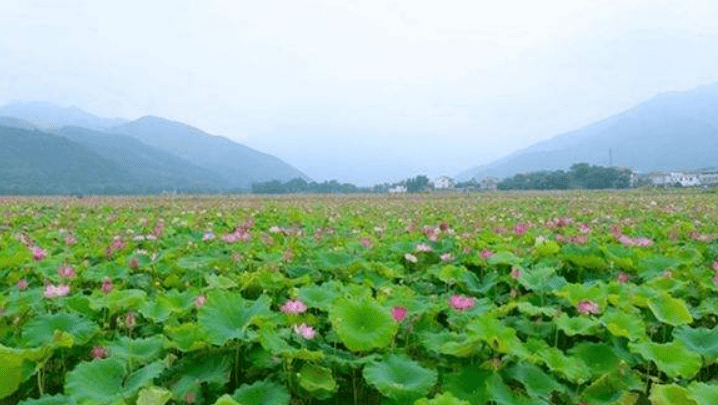 蓝山县属于哪个省哪个市(湖南蓝山县属于哪个市)
