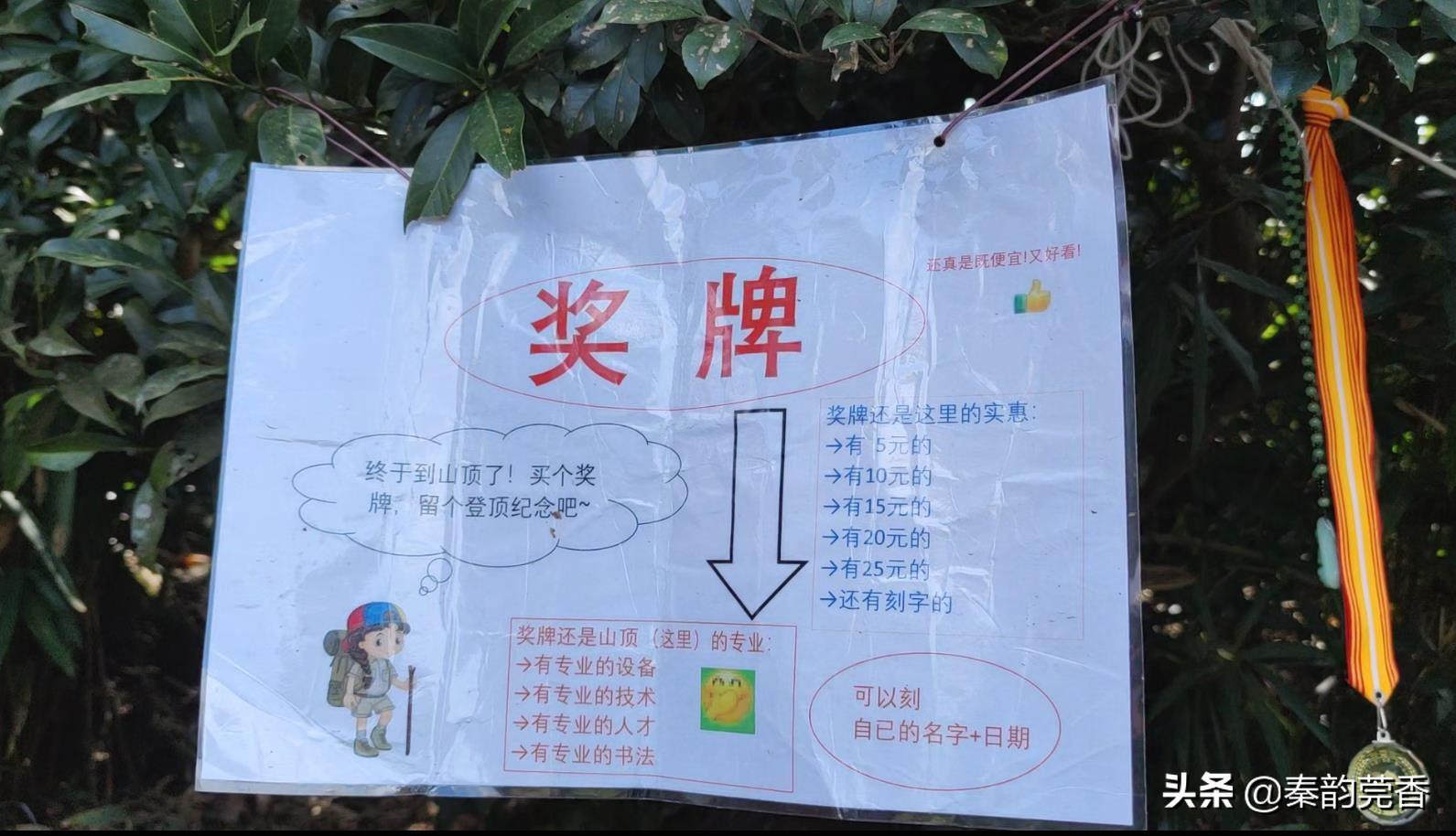 东莞最高的山(东莞第一峰银瓶山海拔多高)