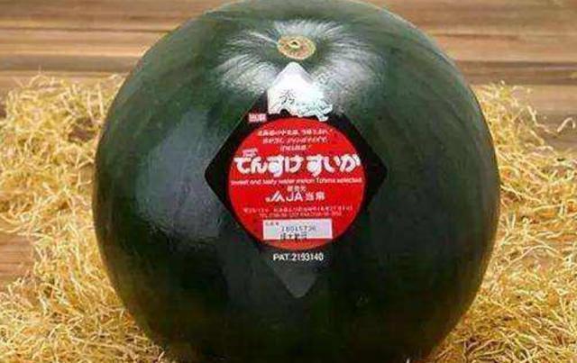 盘点5种黑色水果，后2种为土豪定制，网友：我连瓜都吃不起