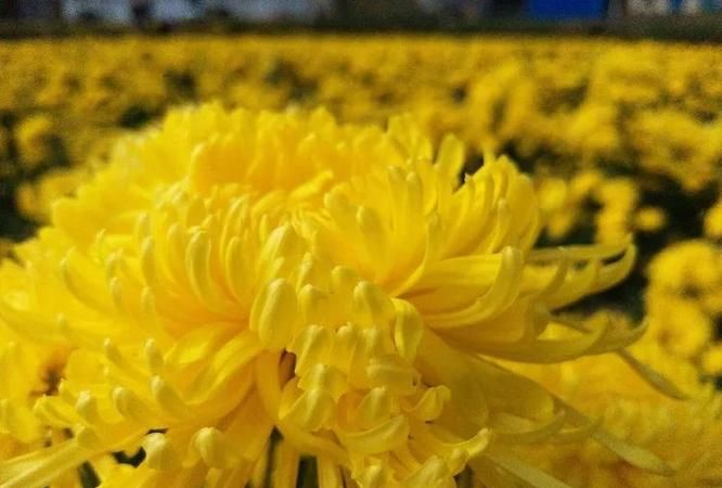 网络语atm是什么意思