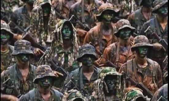 成为特种兵需要哪些条件（一个普通人要做好哪些准备）(1)