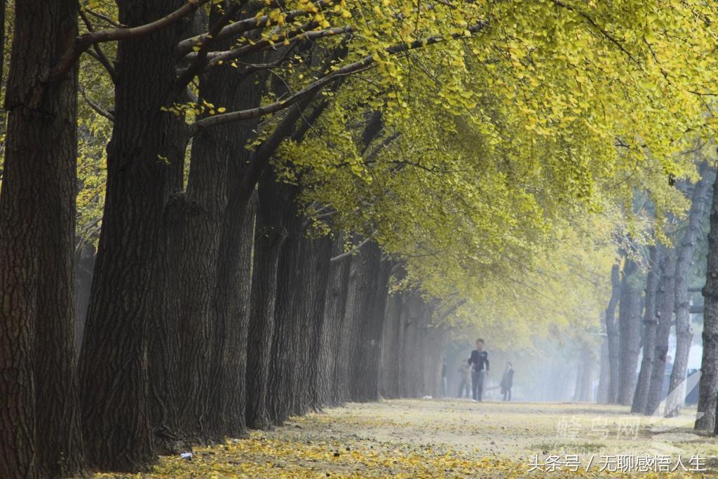 三河市属于哪个市(河北三河市属于哪个市)