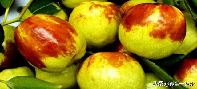 桐柏县属于哪个市(桐柏县属于河南哪里)