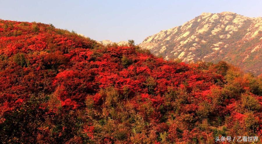 桐柏县属于哪个市(桐柏县属于河南哪里)