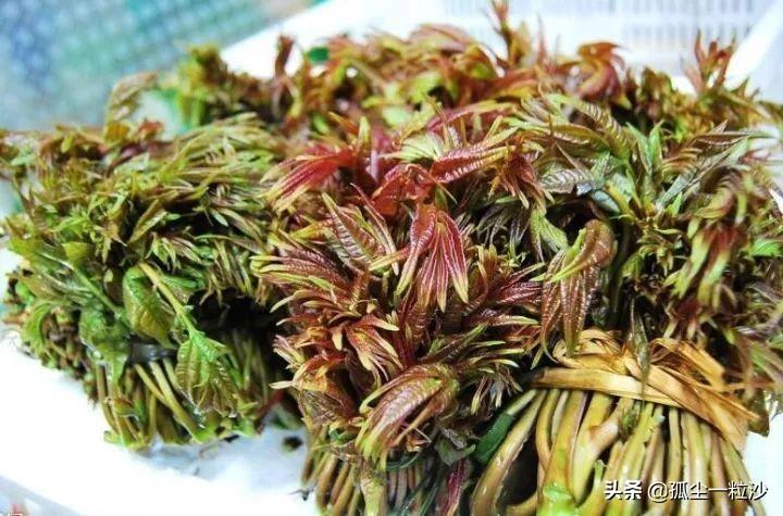 桐柏县属于哪个市(桐柏县属于河南哪里)