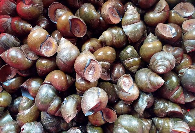 桂林有什么好吃的特产（桂林享誉全国的十大特产）(7)