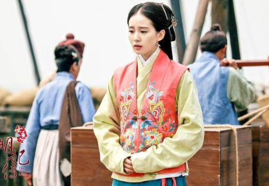 女医明妃传剧情介绍大结局