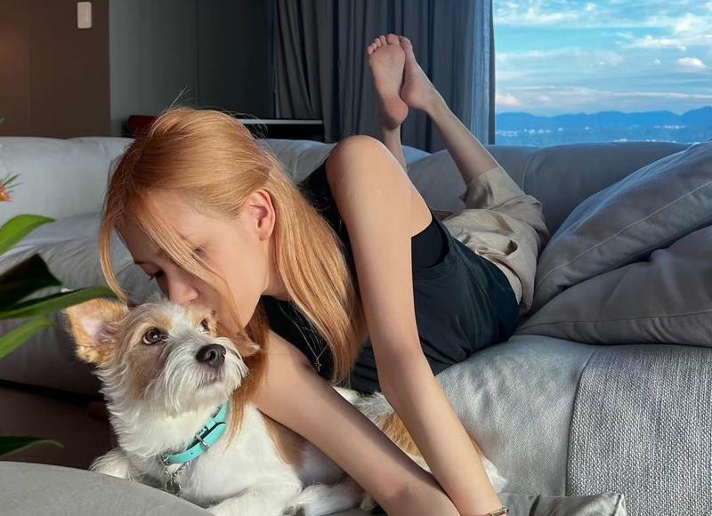 单身必看!如何在微信上撩到喜欢的女生 单身必看!如何在微信上撩到喜欢的女生