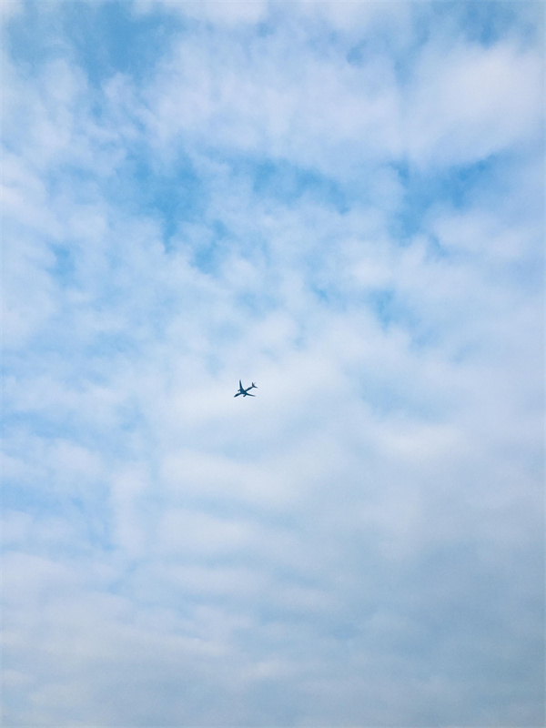 乘坐飞机为什么要开飞行模式(坐飞机忘记开飞行模式怎么办)