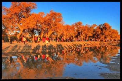 ​探寻沙漠绿洲：额济纳旅游攻略