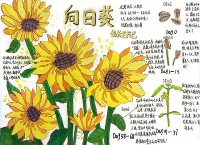 ​第四届自然笔记大赛作品征集活动开始报名啦！