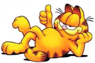 ​加菲猫你了解多少？