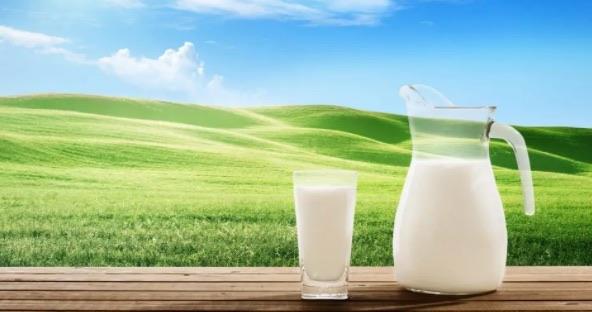 生活虾相克的食物有哪些(不能和虾一起吃的食物) 2