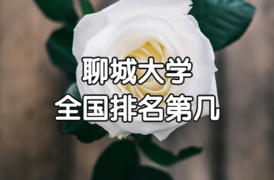 ​聊城大学是几本（高考生必知）