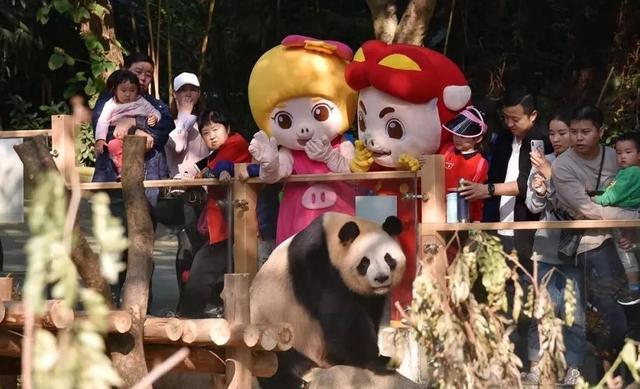 深圳野生动物园优惠门票下午场（深圳野生动物园特惠门票来袭）(2)