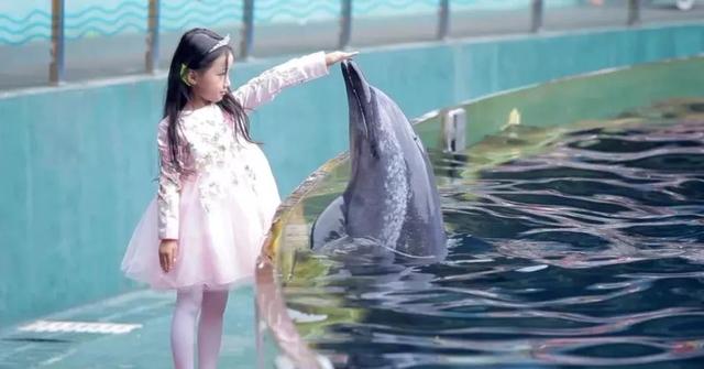 深圳野生动物园优惠门票下午场（深圳野生动物园特惠门票来袭）(4)