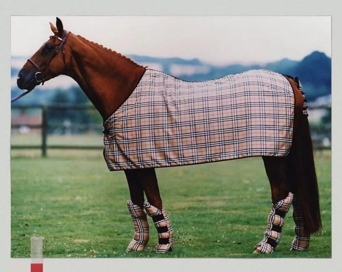 Supreme的棺材，LV的避孕套，Tiffany的泡泡水...有钱人的行为也太迷惑了！