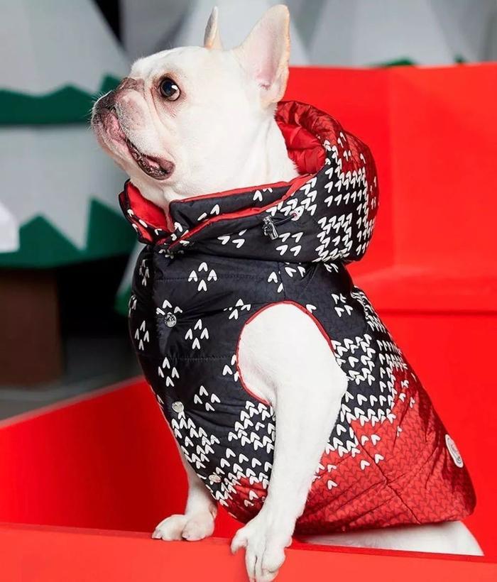 Supreme的棺材，LV的避孕套，Tiffany的泡泡水...有钱人的行为也太迷惑了！