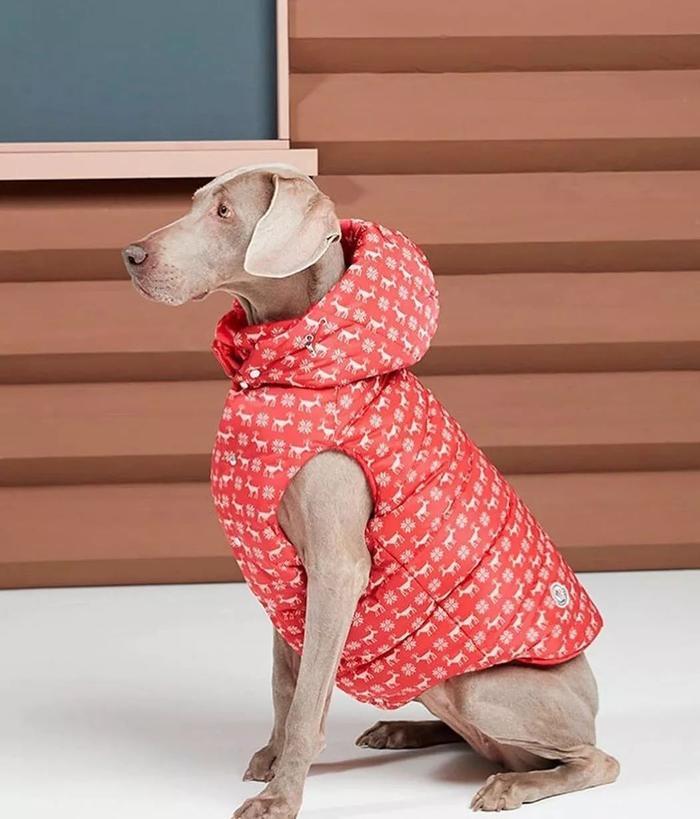 Supreme的棺材，LV的避孕套，Tiffany的泡泡水...有钱人的行为也太迷惑了！