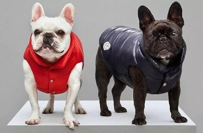 Supreme的棺材，LV的避孕套，Tiffany的泡泡水...有钱人的行为也太迷惑了！