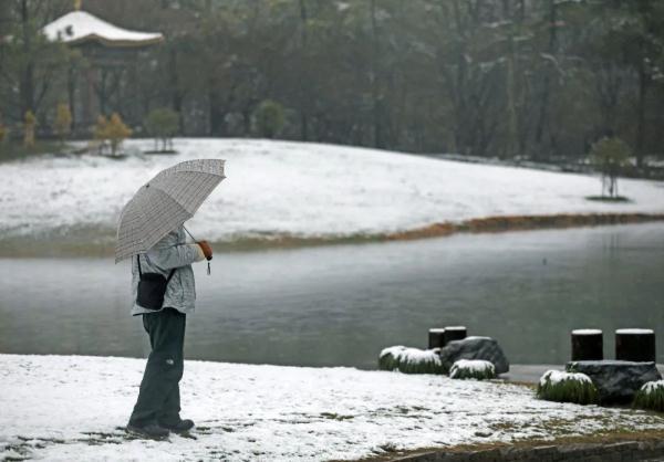 浙江新一轮雨雪拉开帷幕局部暴雪（浙江多地又要下雪啦）(1)