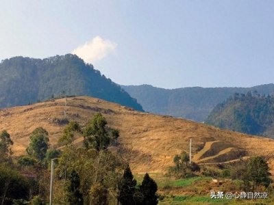 ​重磅！全国73.8%农村或已空心化，我们该如何破解农村困局？