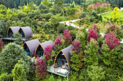 ​四川的秋天有多美 | 赏秋正当时！什邡500亩红枫“安排上了”