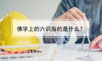 ​佛学上的六识指的是什么？(佛学上的六识指的是什么意思)