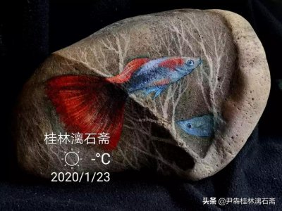 ​自律是怎么养成的(自律的养成方法)