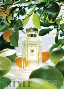 ​实力点评 9款当下最火的祖马龙香水