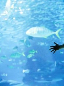 ​璀璨的意思是什么(璀璨的意思是什么最佳答案)