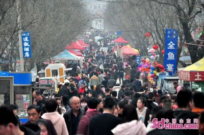 ​出游度新春 腊山国家森林公园游人如织