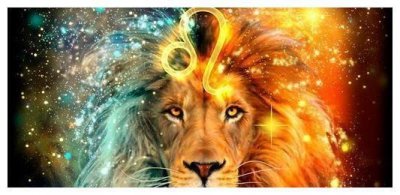 ​有主见的狮子男为什么偏爱摩羯女？