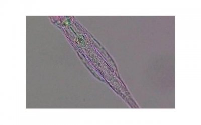 ​不会怎样追女生？这三个牵手时期不要错过