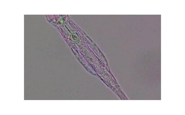 不会怎样追女生？这三个牵手时期不要错过