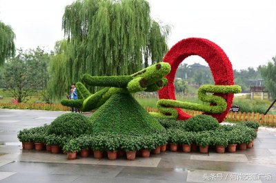 ​好消息！郑州园博园门票价格今起下调