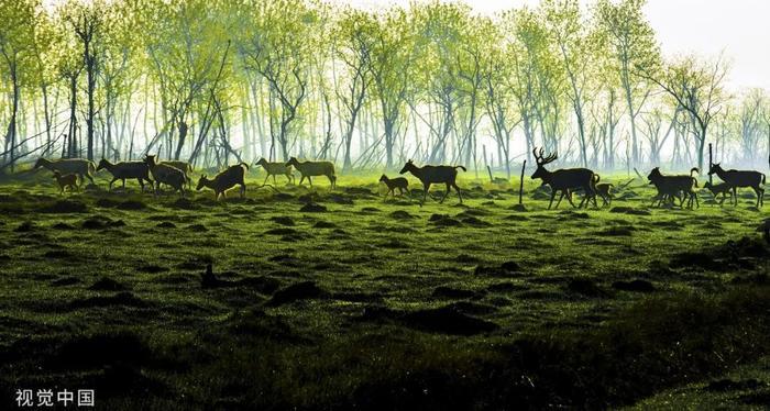 关于盐城的交通情况，一定要看这篇微信……