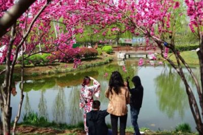 ​晒太阳的句子说说心情（表达周六日心情美好的文案）