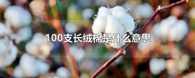 ​100支长绒棉是什么意思