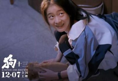 ​狗十三爱因斯坦是什么品种小狗为什么被送走