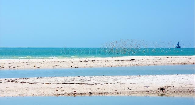 湖南最大的株洲（世界第八大洲株洲）(3)