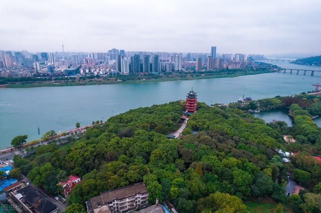 湖南最大的株洲（世界第八大洲株洲）(4)