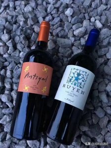 ​葡萄酒多少度最好(葡萄酒多少度数最好)