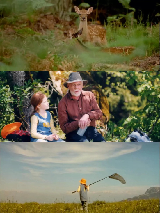 旅游风光电影有哪些好看的（9部风光旅行电影推荐）