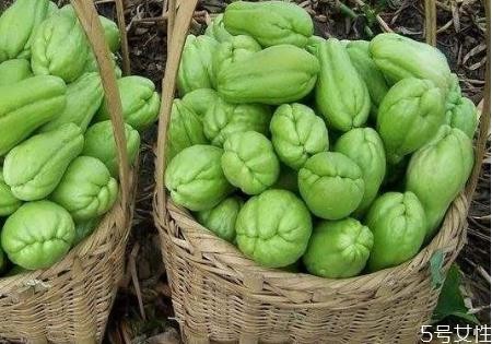 孕妇可以吃佛手瓜吗 佛手瓜怎么做好吃