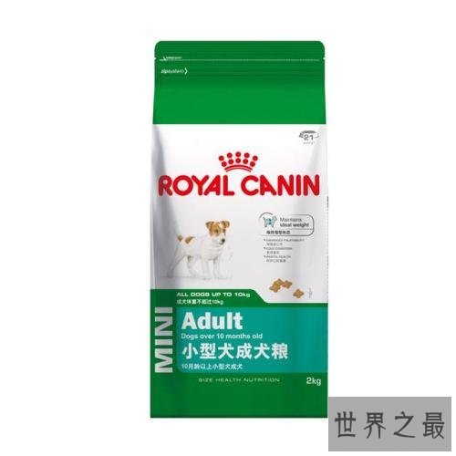 世界十大狗粮品牌，让小狗可以放心食用的狗粮。